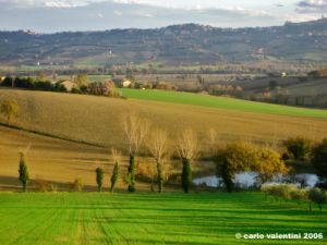 recanati_chiarino37
