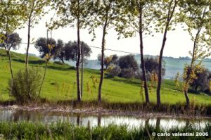 recanati_montefiore01