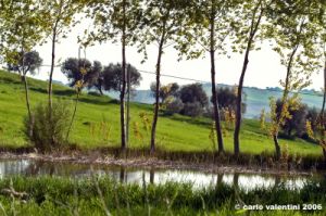 recanati_montefiore03
