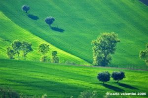 recanati_montefiore11