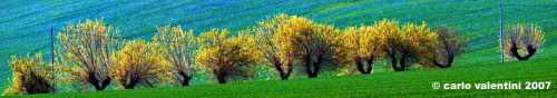 san_severino_marche001