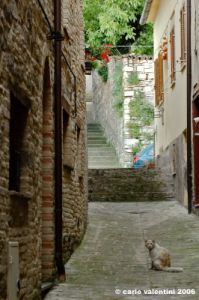 san_severino_marche37