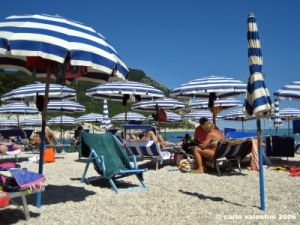 sirolo_conchiglia1