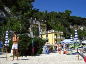 sirolo_conchiglia2