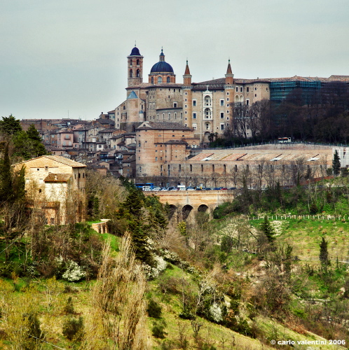 urbino02