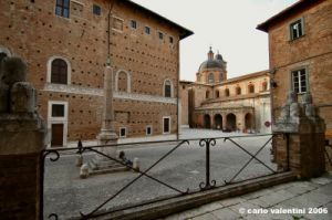 urbino17