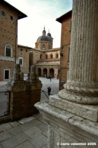 urbino21