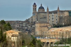 urbino46
