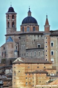 urbino47
