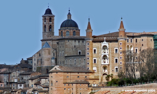 urbino48