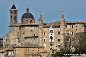urbino49