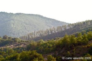 appennino_bocca_serriola01