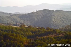 appennino_bocca_serriola02