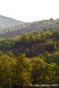 appennino_bocca_serriola04