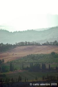 appennino_bocca_serriola12