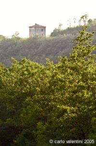 appennino_bocca_serriola17