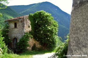 biselli_norcia1