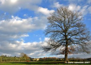 citta_della_pieve02