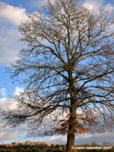 citta_della_pieve04
