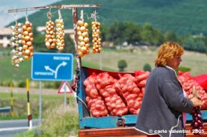 colfiorito01_050825