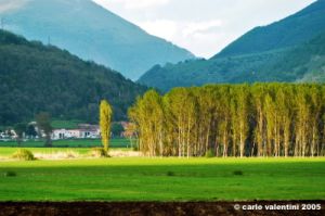 colfiorito02