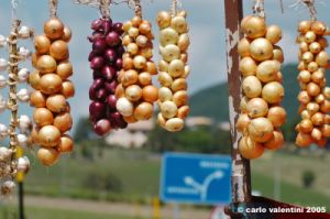 colfiorito04_050825