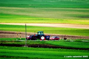 colfiorito06