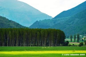 colfiorito08