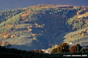 foligno02