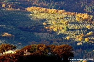 foligno03