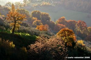 foligno05
