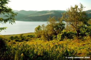 lago_corbara08