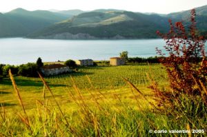 lago_corbara11