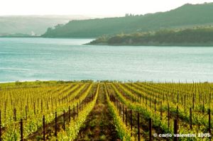 lago_corbara12