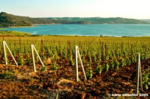 lago_corbara13a