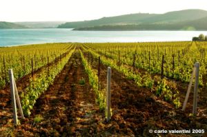 lago_corbara13c