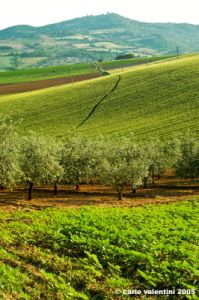 marsciano02