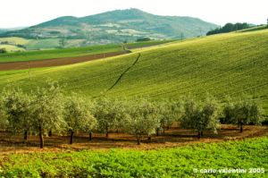 marsciano03