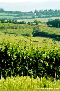 marsciano08