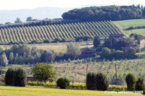 marsciano13