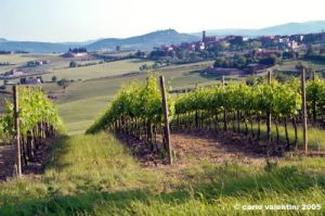 marsciano19