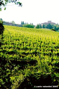 marsciano21