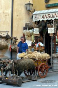 norcia01