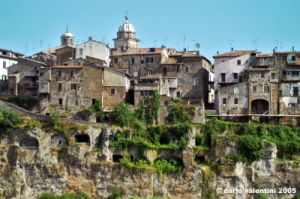 orte3