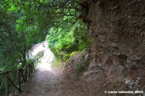 san_pietro_valle116