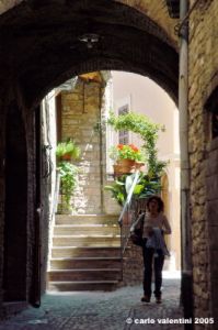 spello26