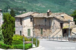 spello33