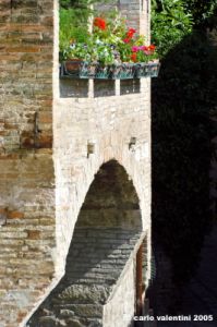 spello53