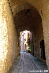 spello54