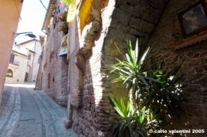 spello56